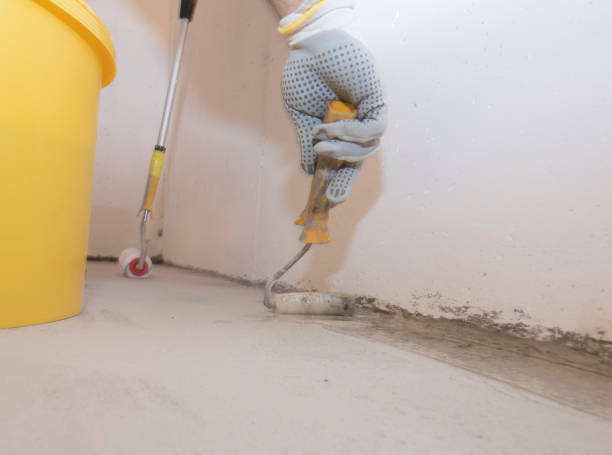 Best Pest Prevention Services  in Menomonie, WI